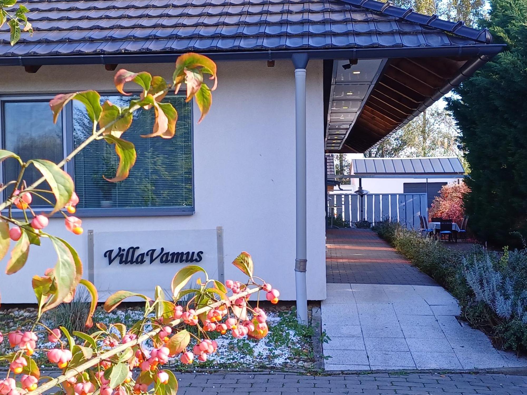 Villa Vamus Vendeg- Es Rendezvenyhaz Vámosszabadi Kültér fotó